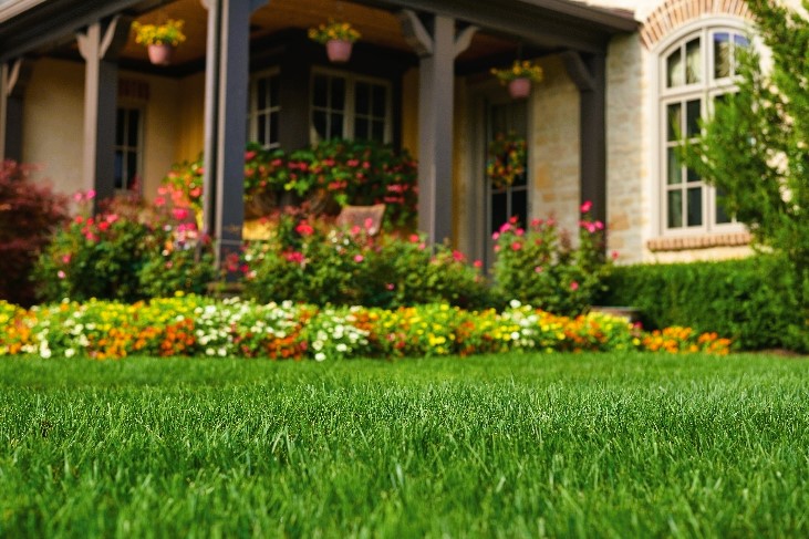 Window and Garden Design