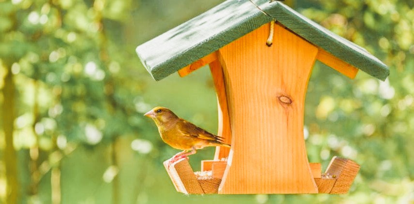 Wildlife Friendly Garden