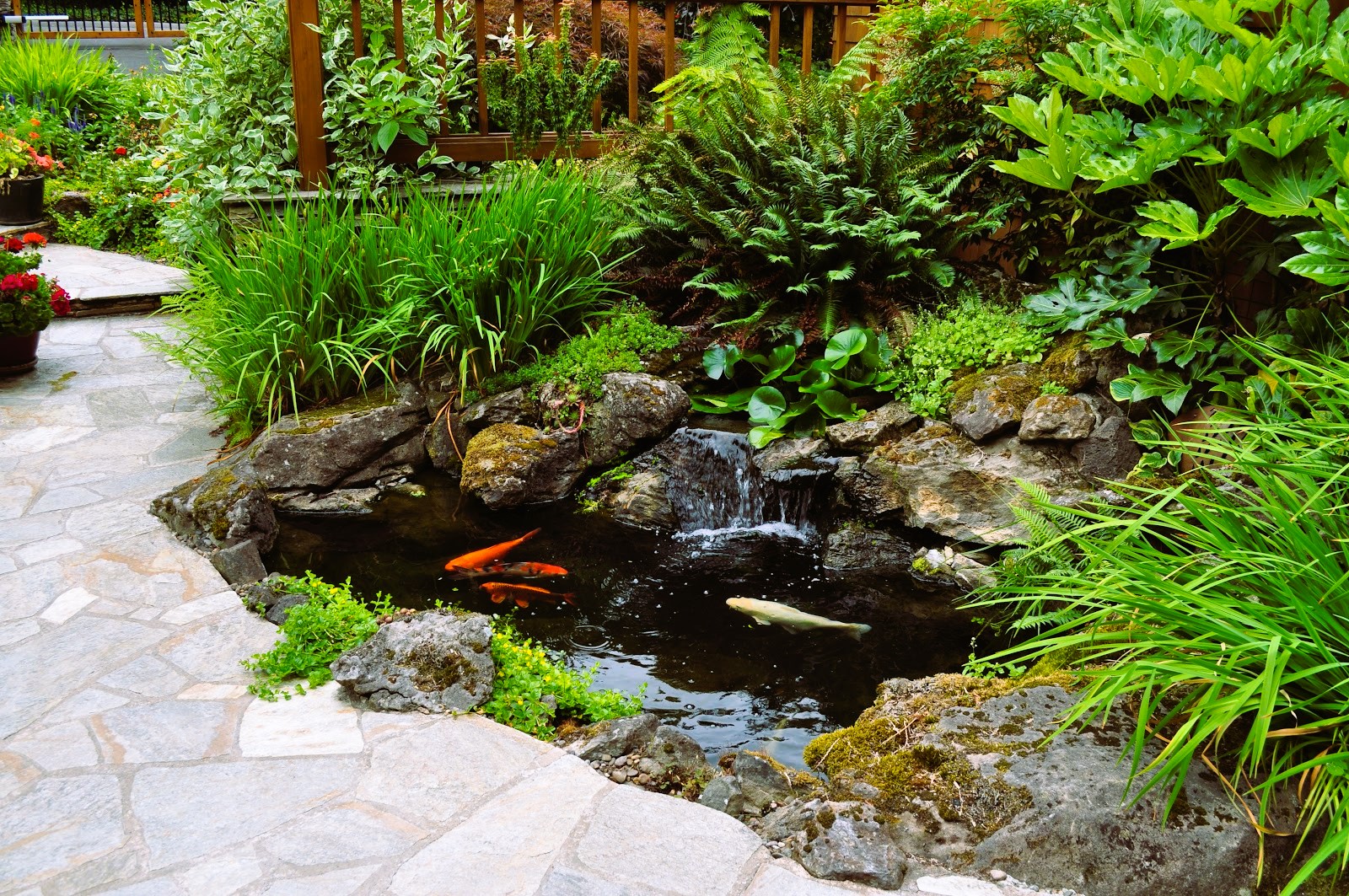 Creating a Green Oasis: Tips for Designing a Sustainable Garden