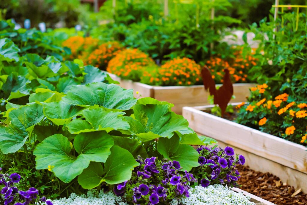 Small Space Vegetable Gardening