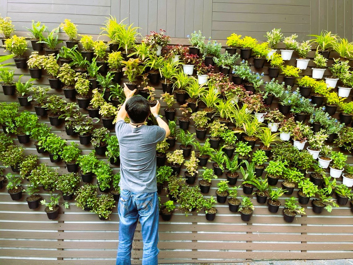 vertical wall gardening
