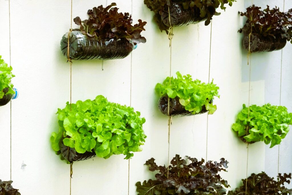 vertical gardening