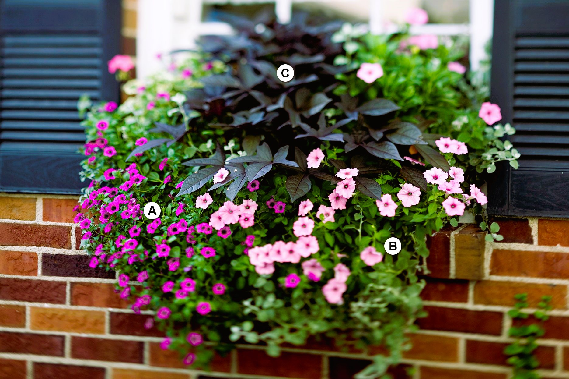 Elevating Your Landscape: Incorporating Window Boxes and Planters