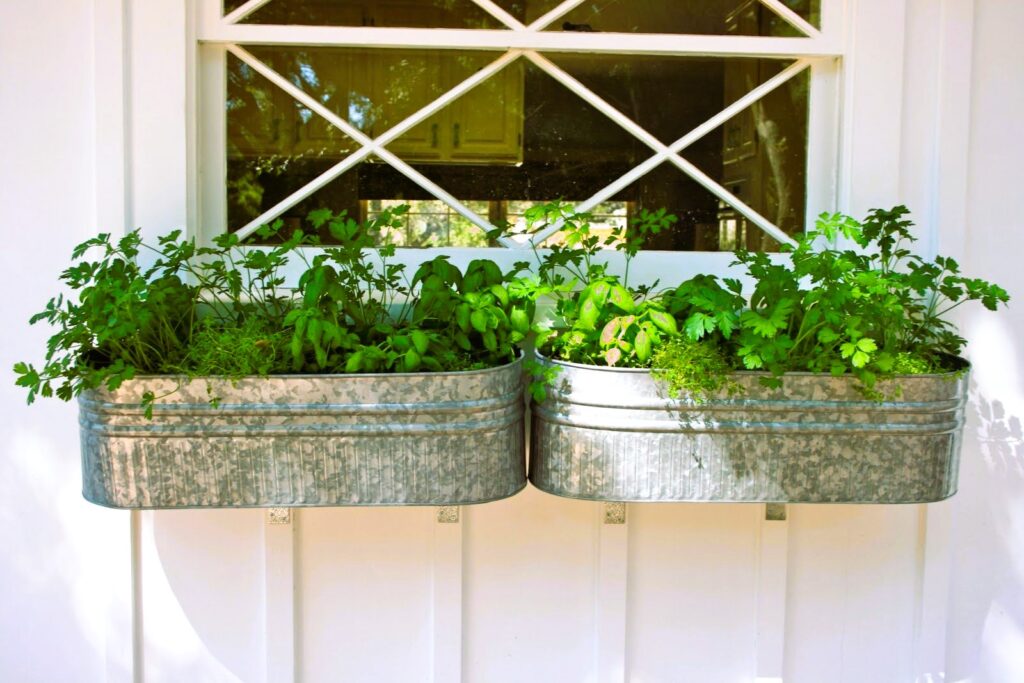 window boxes herb garden